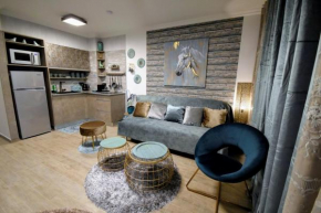 Luxury suite on Lev Eilat with balcony and jacuzzi